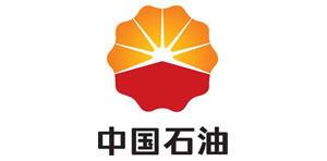 Petro China Co Ltd.